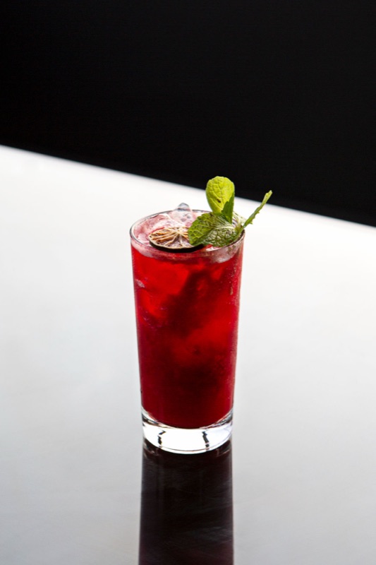 Red cocktail with mint and dried citrus garnish
